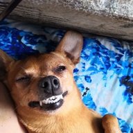 ZZzzz