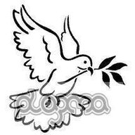 Dove80