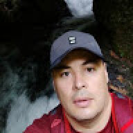 daweed