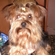 SANDOR