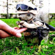 Wares7