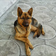 wehrwolf_s