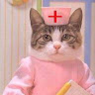 nekosteko