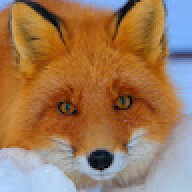 Foxx