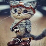 lexa77708