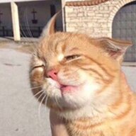 Qwertyiu