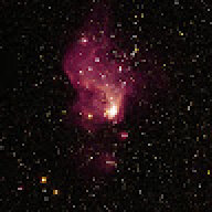 renia2000