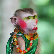 zhirafiki