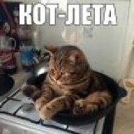 Kotovv