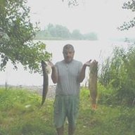 valdek51