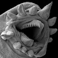 rrrrrrrr