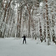 Александ