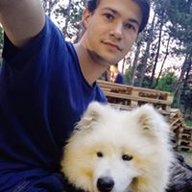 viteok.iarosh