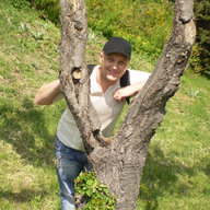 ilieshserghei
