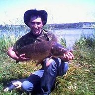 taras65