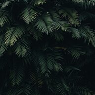 THreeSH98