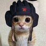 vin.igor.ru