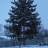 dast12131