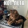 Kotovv