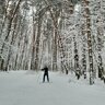 Александ