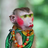 zhirafiki